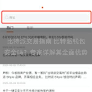 比特派交易指南 比特派钱包安全吗？专家详解其全面优势