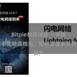 Bitpie教程地址 一分钟上手比特派钱包，轻松管理多链资产