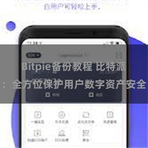 Bitpie备份教程 比特派：全方位保护用户数字资产安全