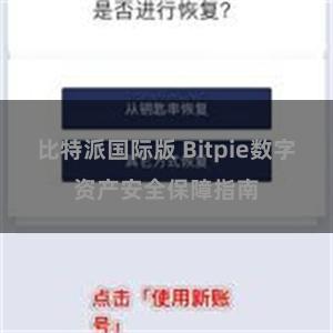 比特派国际版 Bitpie数字资产安全保障指南