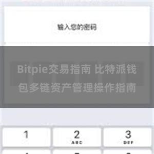 Bitpie交易指南 比特派钱包多链资产管理操作指南