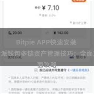 Bitpie APP快速安装 比特派钱包多链资产管理技巧：全面攻略