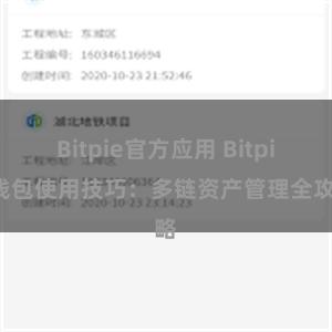 Bitpie官方应用 Bitpie钱包使用技巧：多链资产管理全攻略