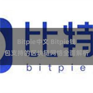 Bitpie中文 Bitpie钱包支持的区块链网络全面解析