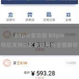 Bitpie全功能 Bitpie钱包支持的区块链网络全面解析