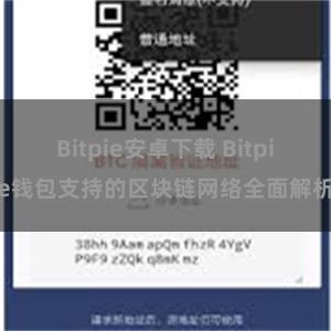 Bitpie安卓下载 Bitpie钱包支持的区块链网络全面解析