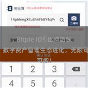 Bitpie iOS 比特派钱包：数字资产管理生态进化，无限可能！