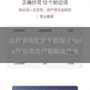 比特派钱包新手教程 Bitpie钱包常见问题解决方法