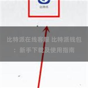 比特派在线客服 比特派钱包：新手下载及使用指南