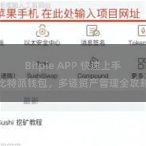 Bitpie APP 快速上手比特派钱包，多链资产管理全攻略