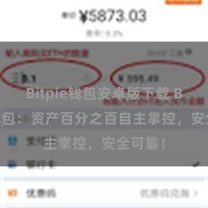 Bitpie钱包安卓版下载 Bitpie钱包：资产百分之百自主掌控，安全可靠！