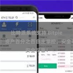 比特派系统支持 Bitpie钱包：资产百分之百自主掌控，安全可靠！