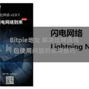 Bitpie地址 解决比特派钱包使用问题的实用技巧