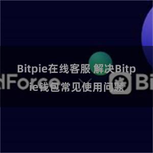 Bitpie在线客服 解决Bitpie钱包常见使用问题