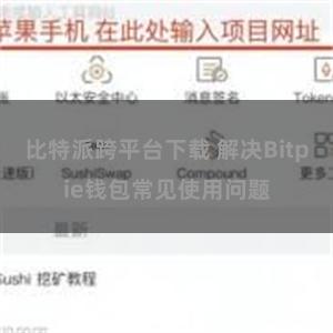 比特派跨平台下载 解决Bitpie钱包常见使用问题