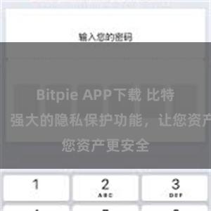 Bitpie APP下载 比特派钱包：强大的隐私保护功能，让您资产更安全