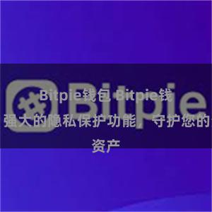 Bitpie钱包 Bitpie钱包：强大的隐私保护功能，守护您的资产