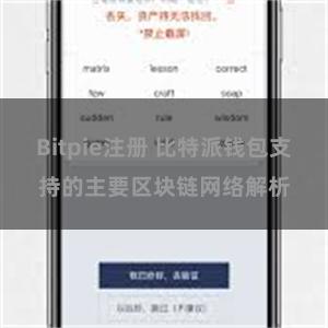 Bitpie注册 比特派钱包支持的主要区块链网络解析