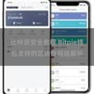 比特派安全教程 Bitpie钱包支持的区块链网络解析