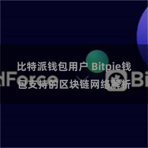 比特派钱包用户 Bitpie钱包支持的区块链网络解析