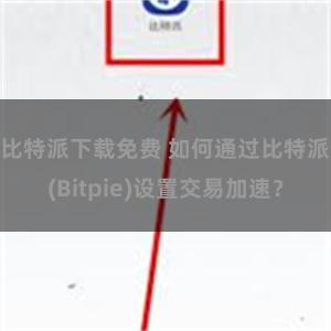 比特派下载免费 如何通过比特派(Bitpie)设置交易加速？