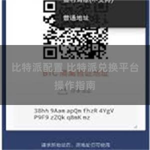 比特派配置 比特派兑换平台操作指南
