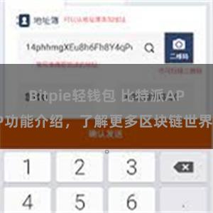 Bitpie轻钱包 比特派APP功能介绍，了解更多区块链世界。