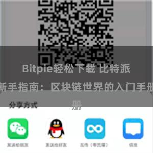 Bitpie轻松下载 比特派新手指南：区块链世界的入门手册