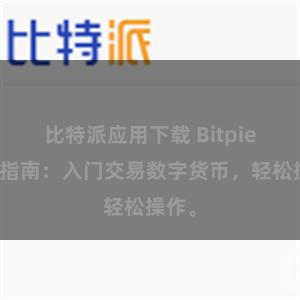 比特派应用下载 Bitpie新手指南：入门交易数字货币，轻松操作。