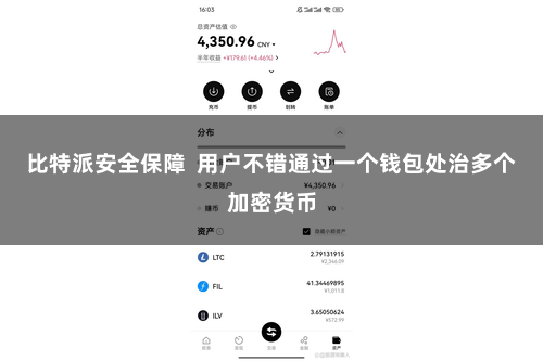 比特派安全保障 用户不错通过一个钱包处治多个加密货币