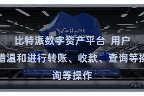 比特派数字资产平台  用户不错温和进行转账、收款、查询等操作