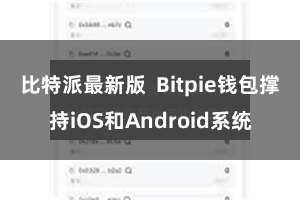 比特派最新版  Bitpie钱包撑持iOS和Android系统