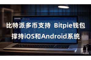 比特派多币支持  Bitpie钱包撑持iOS和Android系统