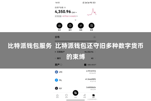 比特派钱包服务  比特派钱包还守旧多种数字货币的束缚