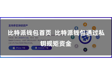 比特派钱包首页  比特派钱包通过私钥规矩资金